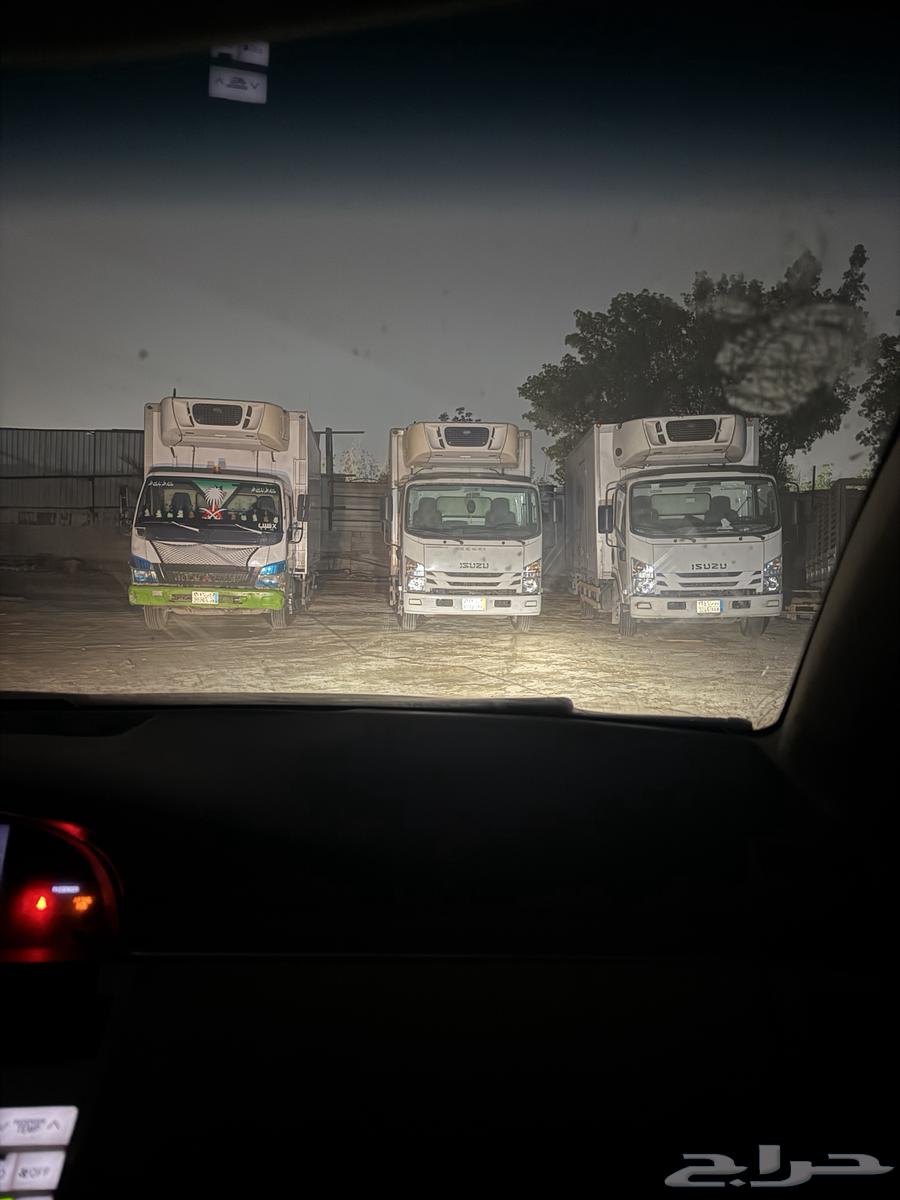 دينات تجميد للايجار الشهري64582357360257112