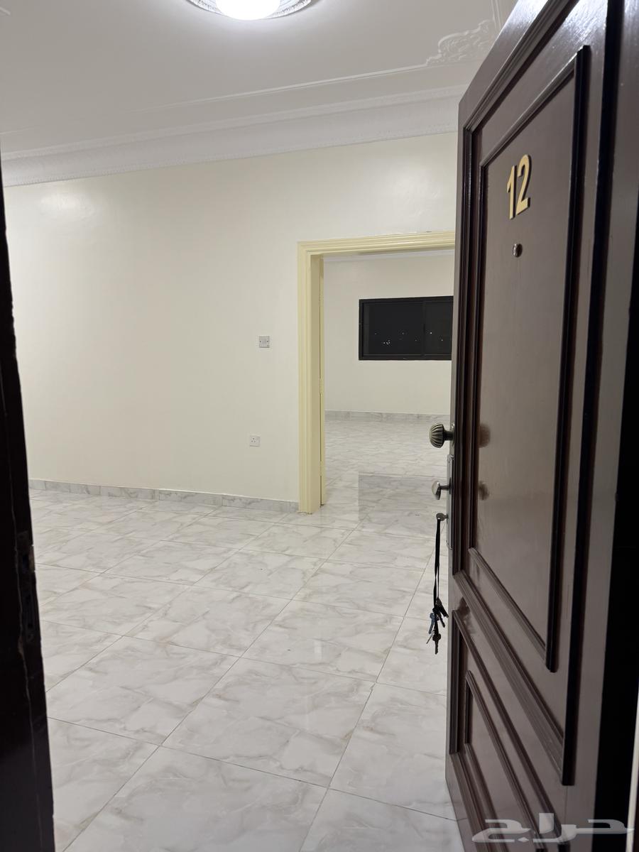 شقة للإيجار