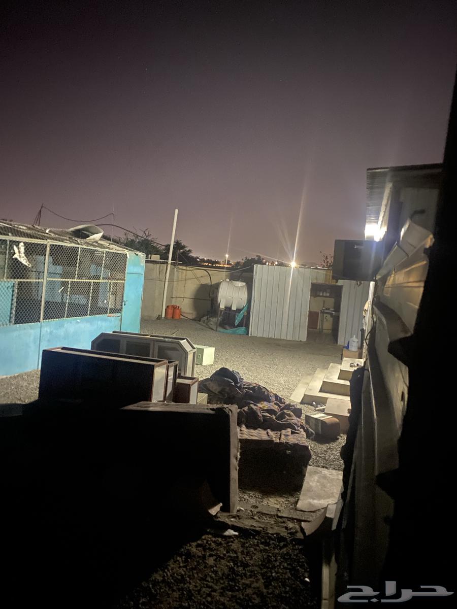 شبوك غنم حديد العدد 3 للبيع64572918051075112