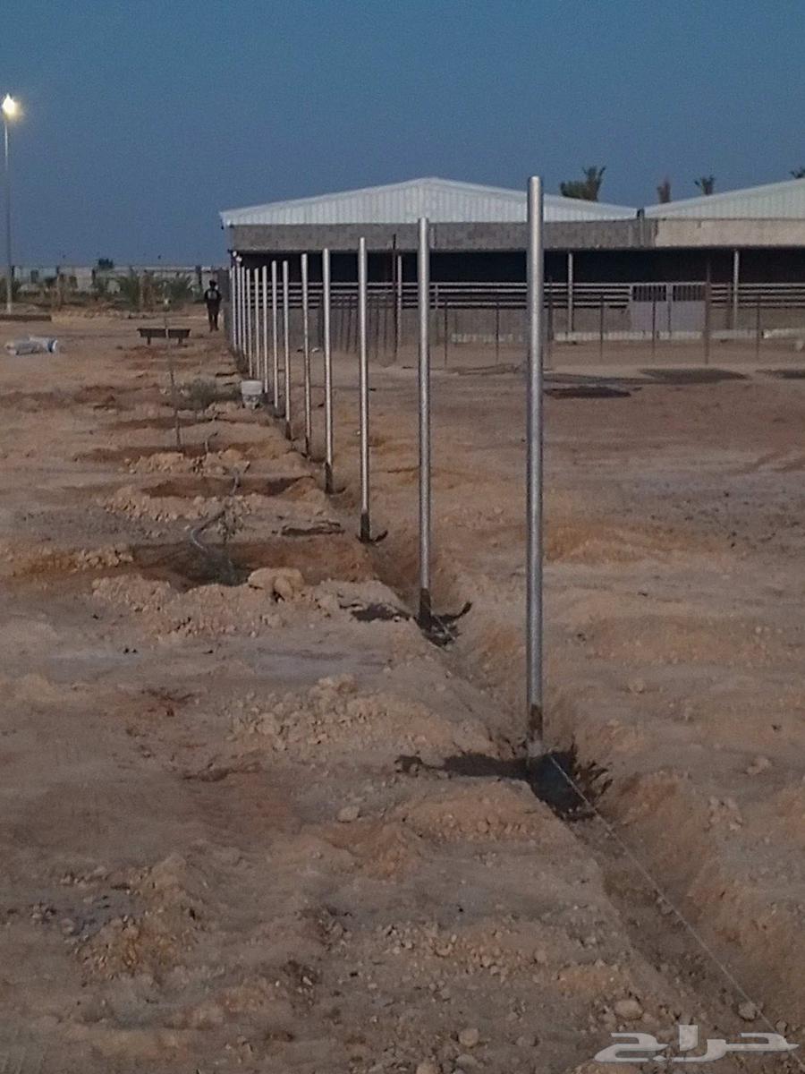 توريد وتركيب جميع انواع الشبوك64572917853826112