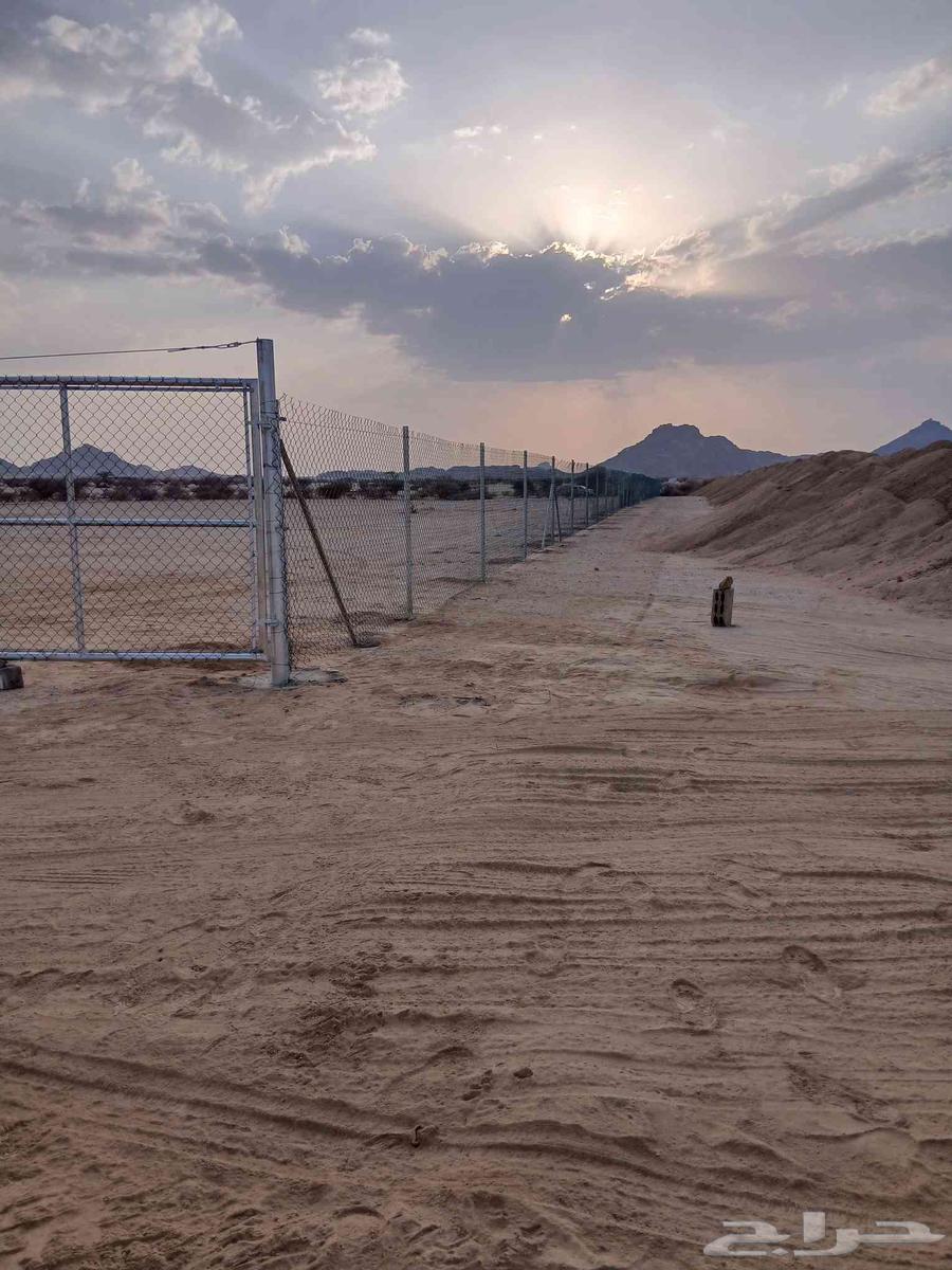 تركيب شبوك مزارع64572981839617111