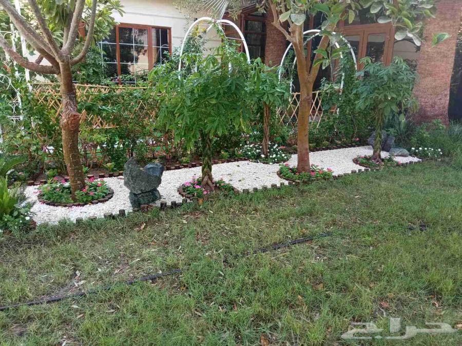 السلام عليكم تنسيق حدائق شامله جميع انواع الديزينات أحواض زر64582372596225111