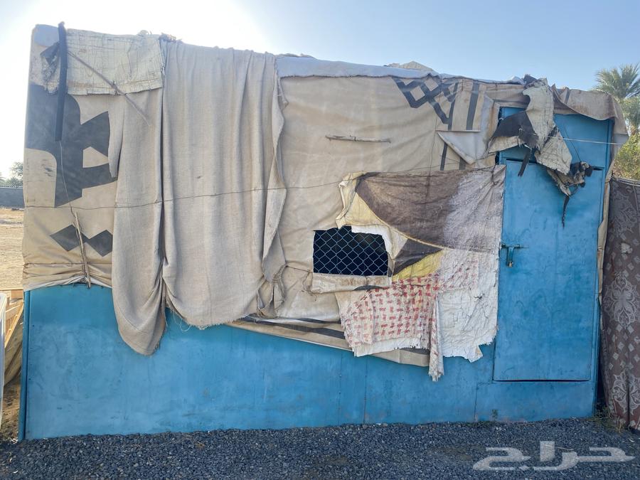 شبوك غنم حديد العدد 3 للبيع64572918051075114