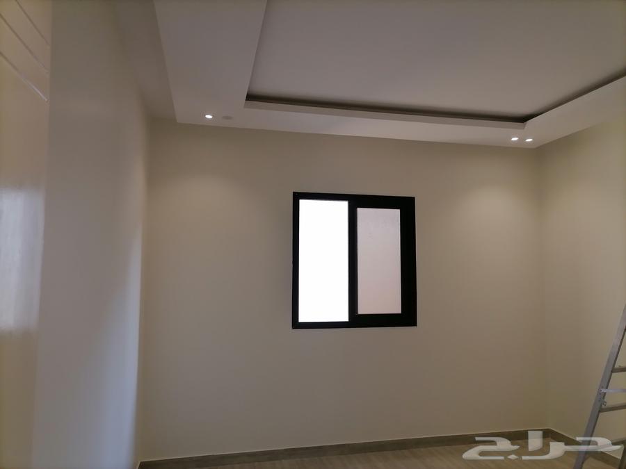 شغل دھانات64582437085826112