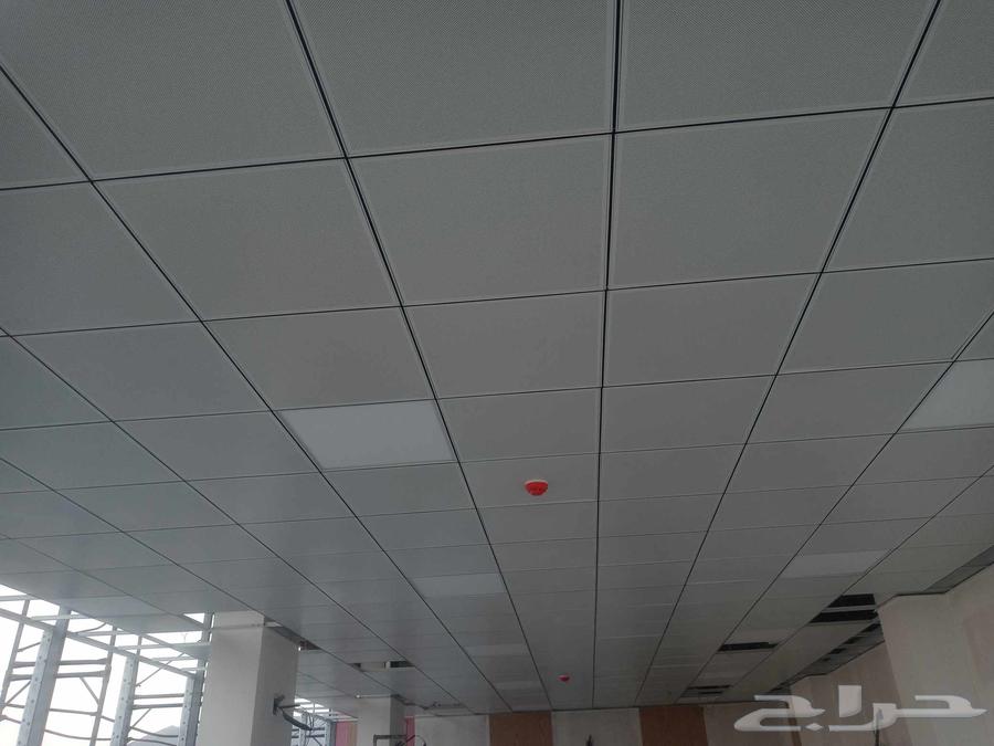 ديكورات خميس مشيط جبس بورد بلاط ارمسترنج شيبورد بديل الرخام64572967047043111