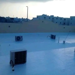 للجميع الديكورات ولاااصباغ ولعوازل64572966809089113