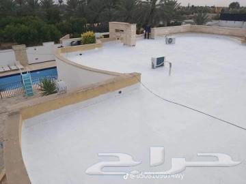 للجميع الديكورات ولاااصباغ ولعوازل64572966809089112