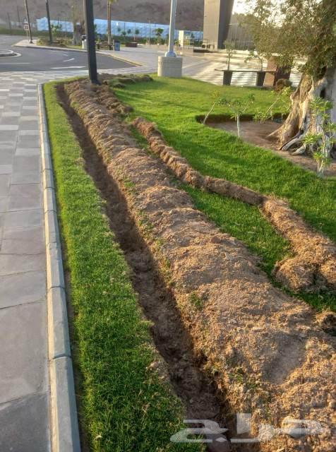 سباك زراعي وتنسيق حدائق ورش مبيدات64572934719491111