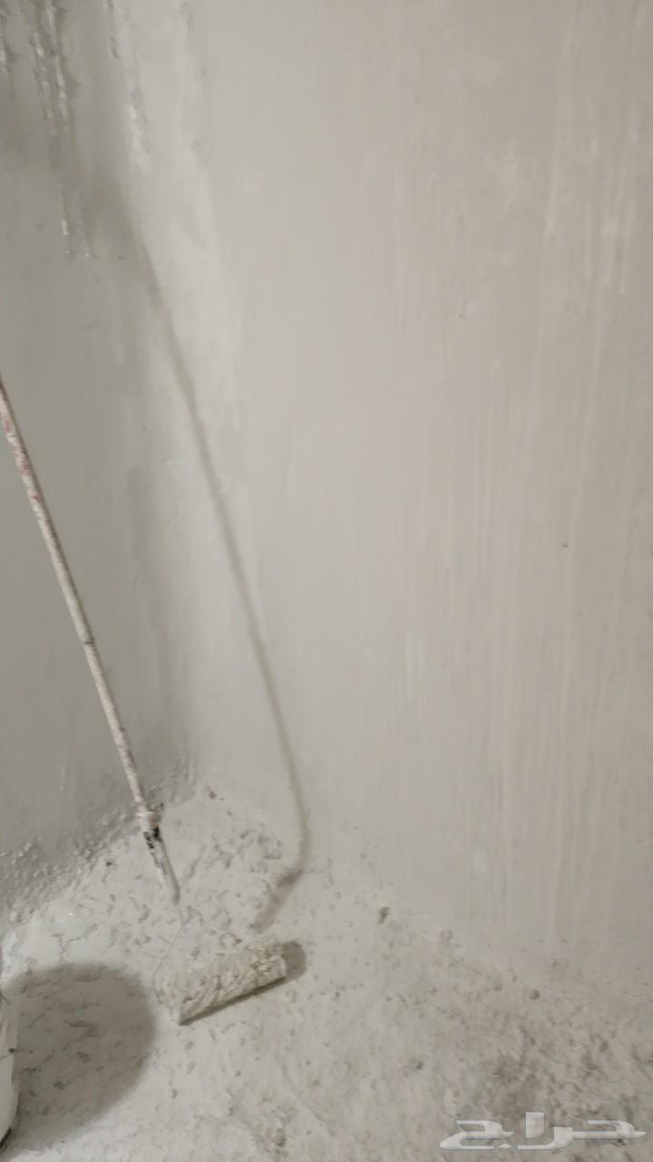 Painting expert and insulation for surfaces, bathrooms, tanks, and leak detection in Jeddah64582501747843110