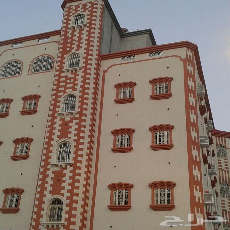 مقاولات عامه ترميم مباني وصيانه بالكامل64572950513026110