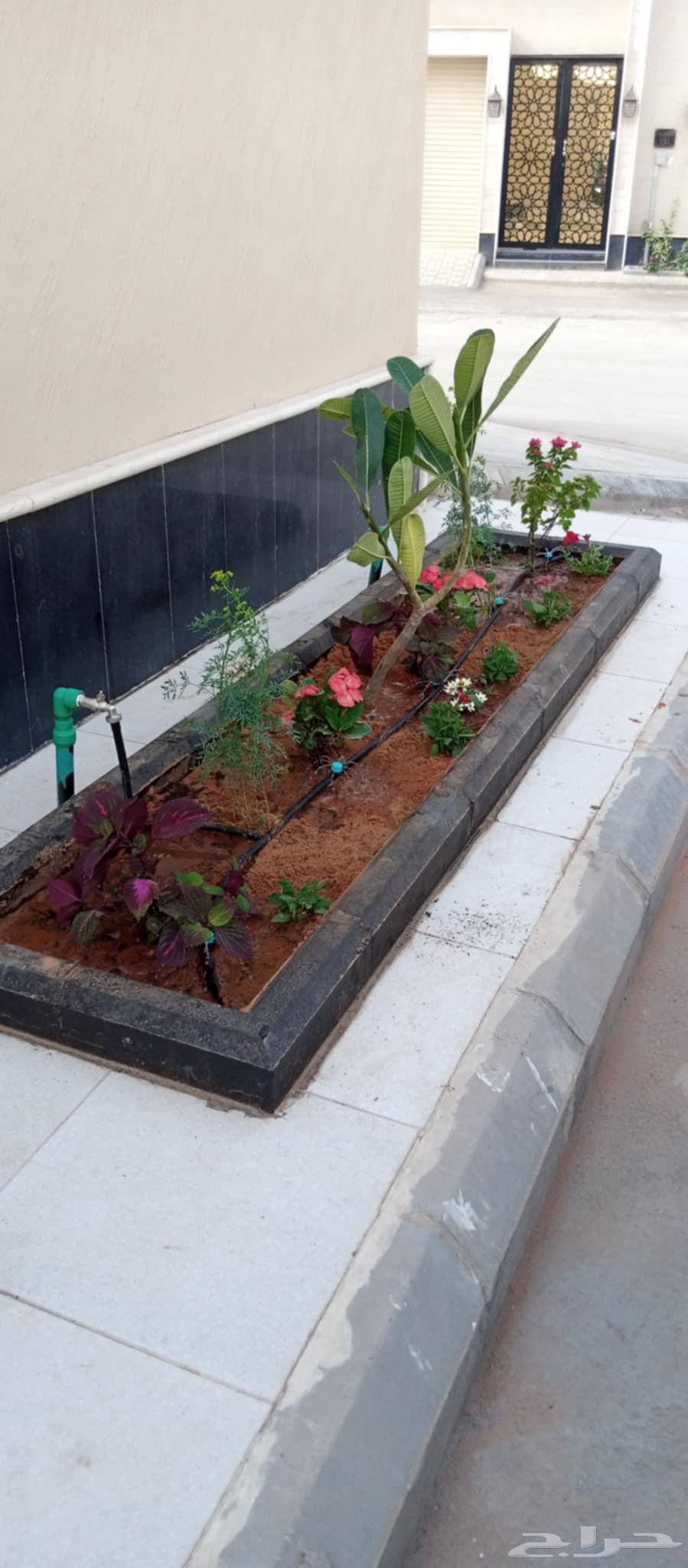 محمد الصعيدى للمقاولات وتصميم وانشاء الحدائق وتنسيق المزارع64582580434179114