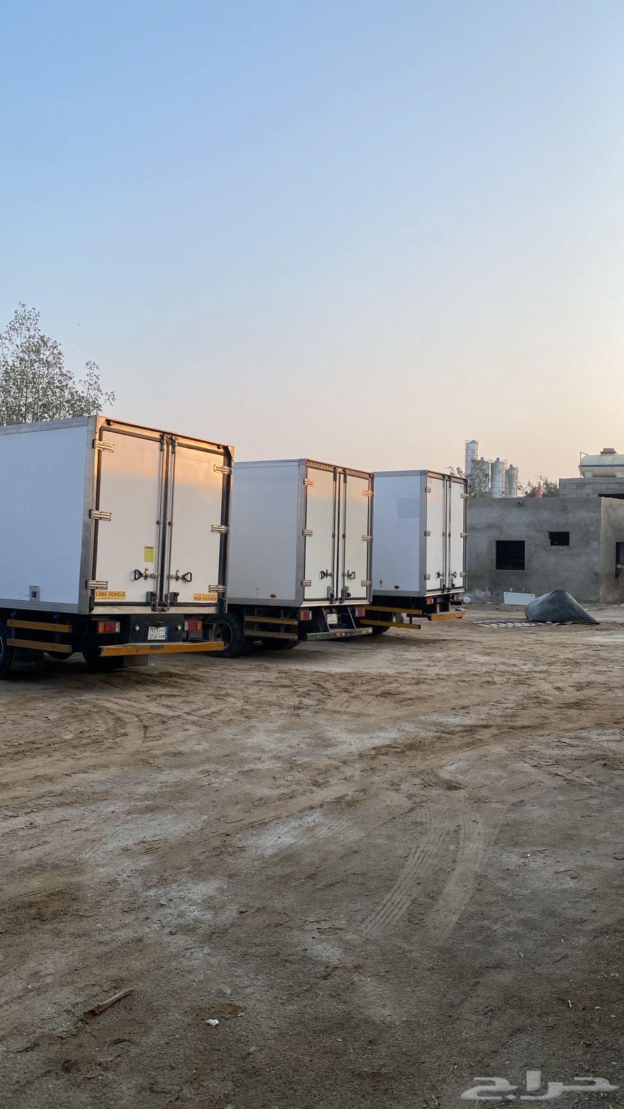 دينات تجميد للايجار الشهري64582357360257110