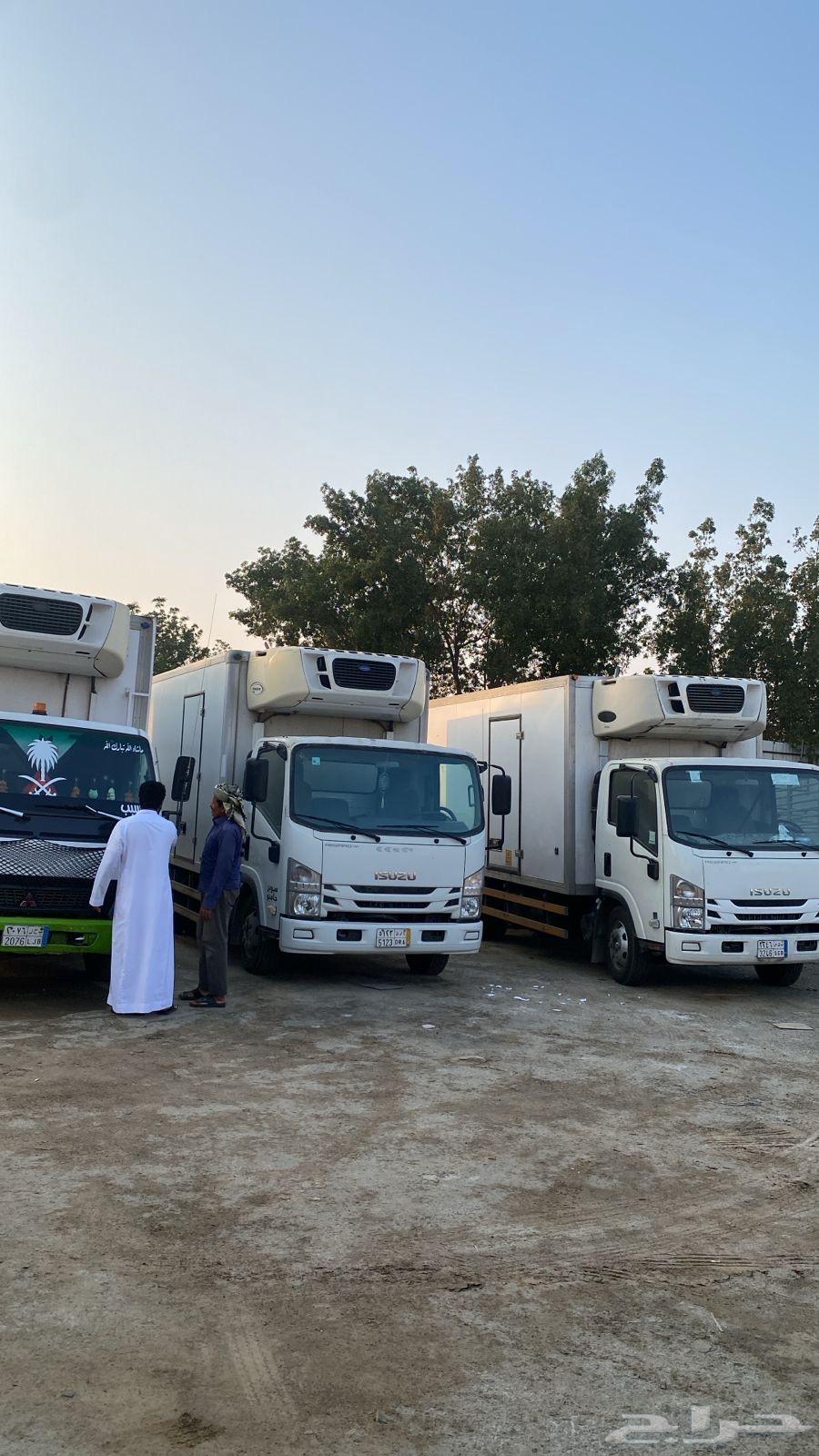 دينات تجميد للايجار الشهري64582357360257111