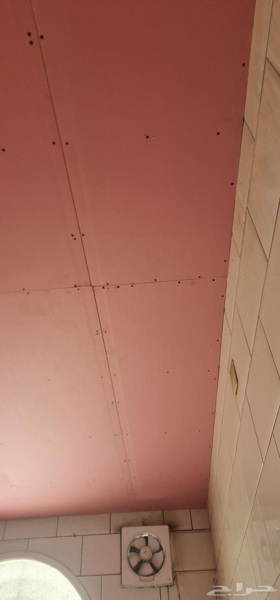 جبس مبود وسمنت بورد64582454891905111