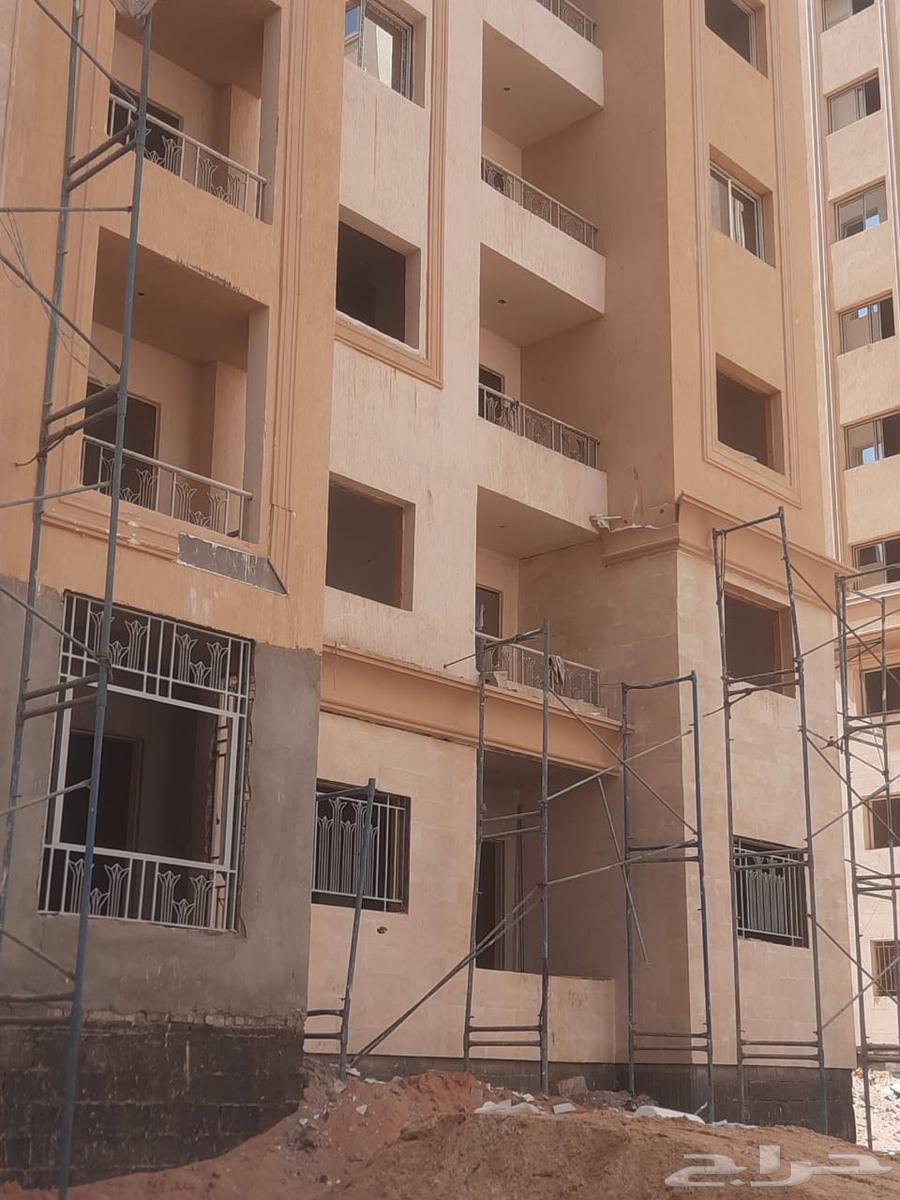 تركيب جميع انواع الحجر والجي أر سي64572950590595111