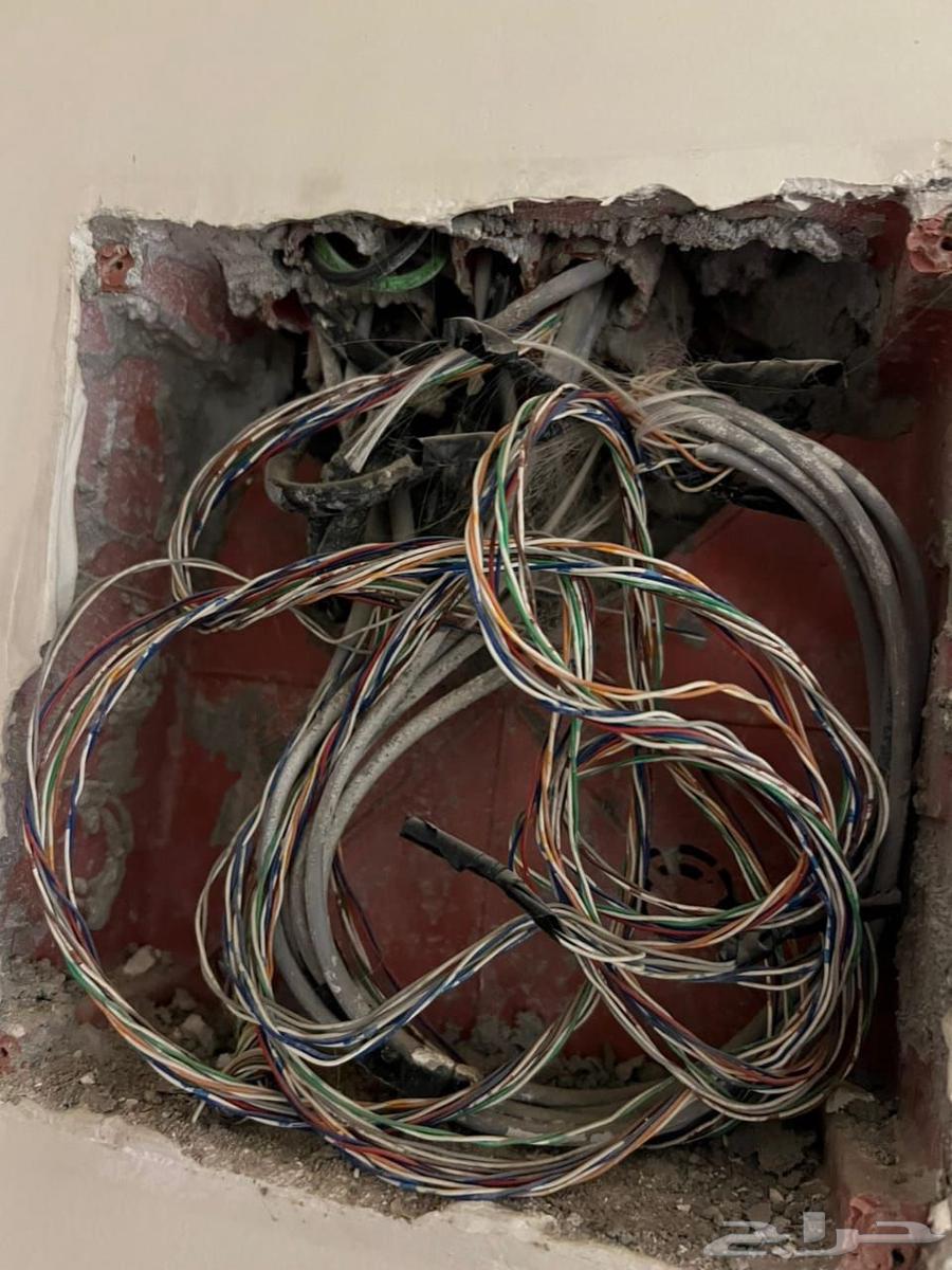 Internet and Network Technician64582454331011113