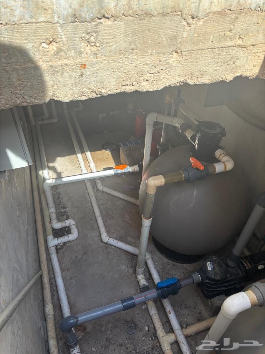 Swimming pool maintenance, swimming pool cleaning64572933345027112