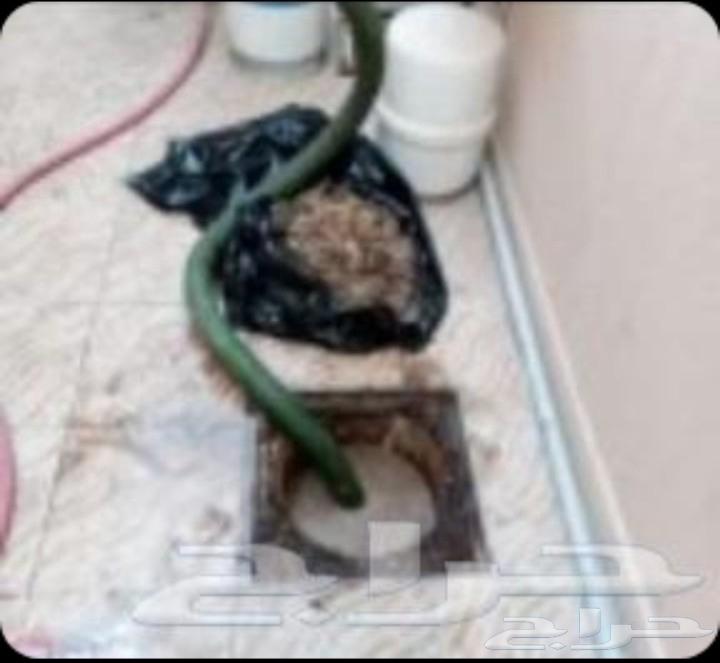شركة تسليك مجاري بخميس مشيط وابها واحد رفيده والواديبن وتندح64592696846466110