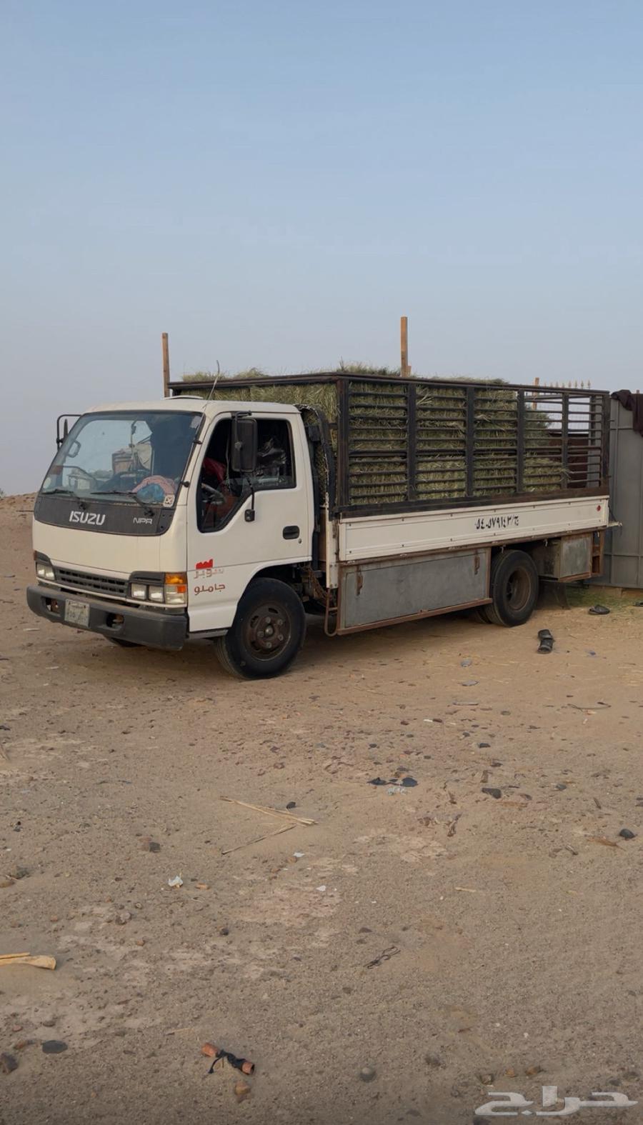 دانه الموقع بيشه64589713832706112