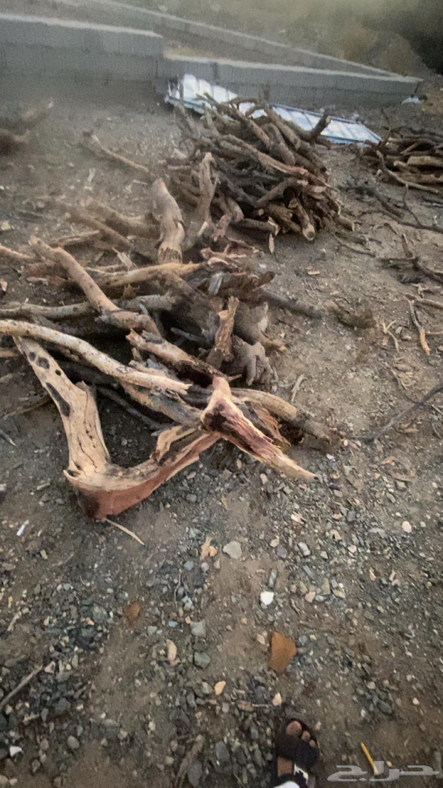 Imported Samr firewood, delivery available within Al-Taif64589614424578112