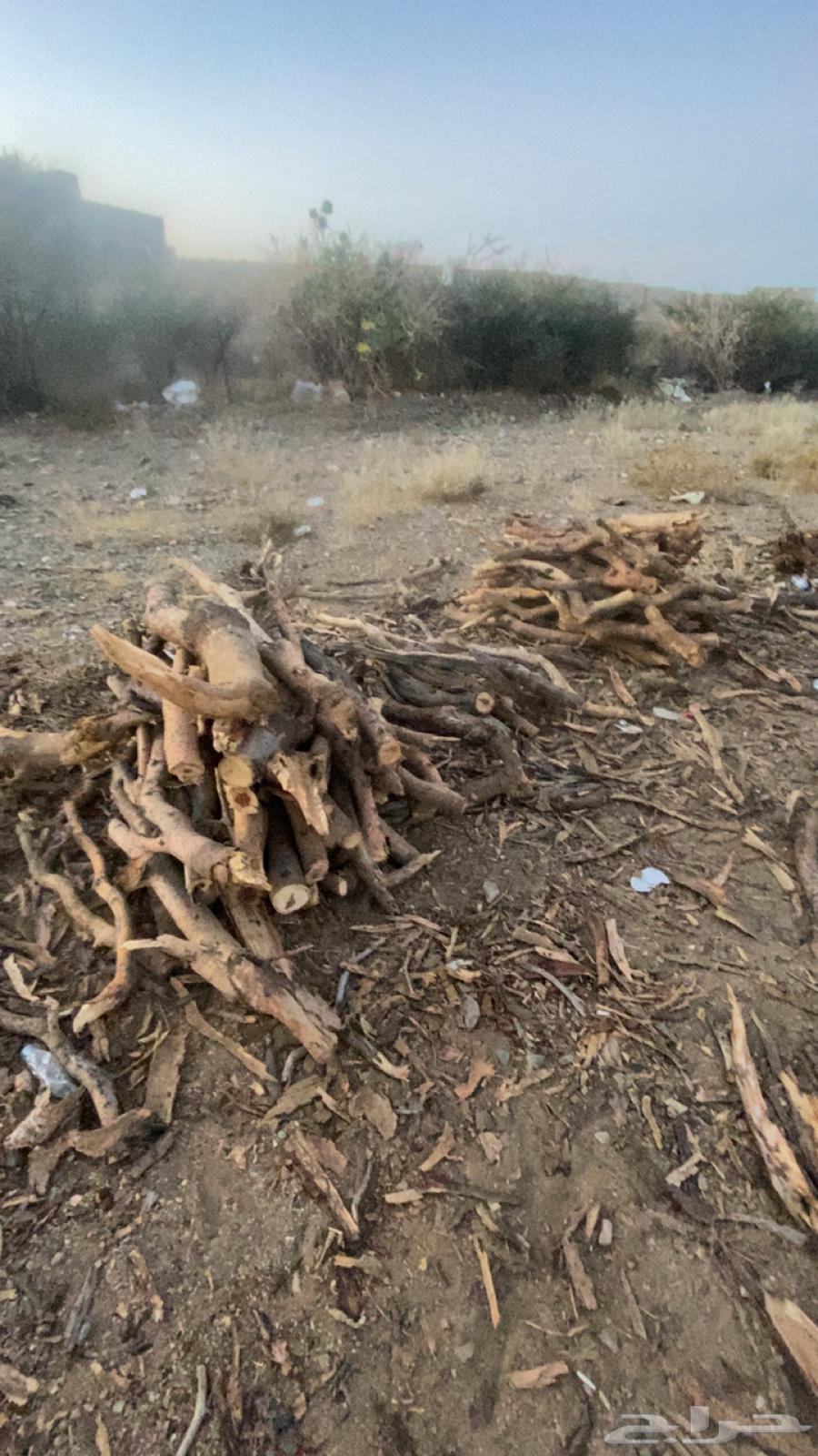 Imported Samr firewood, delivery available within Al-Taif64589614424578114