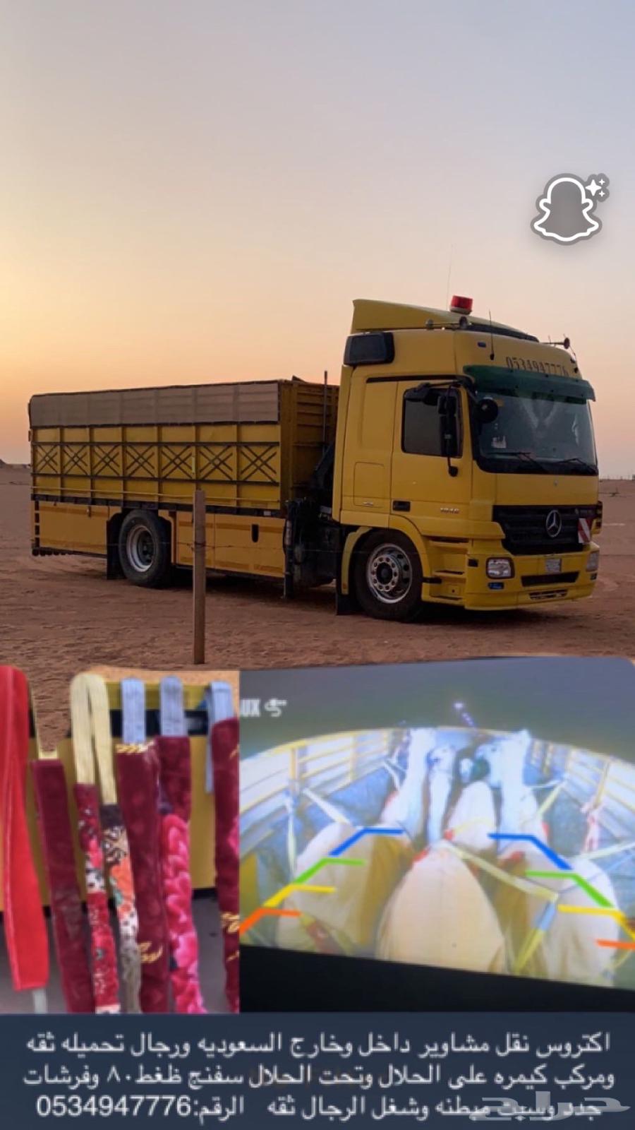 Electro for loading camels64582690915073110