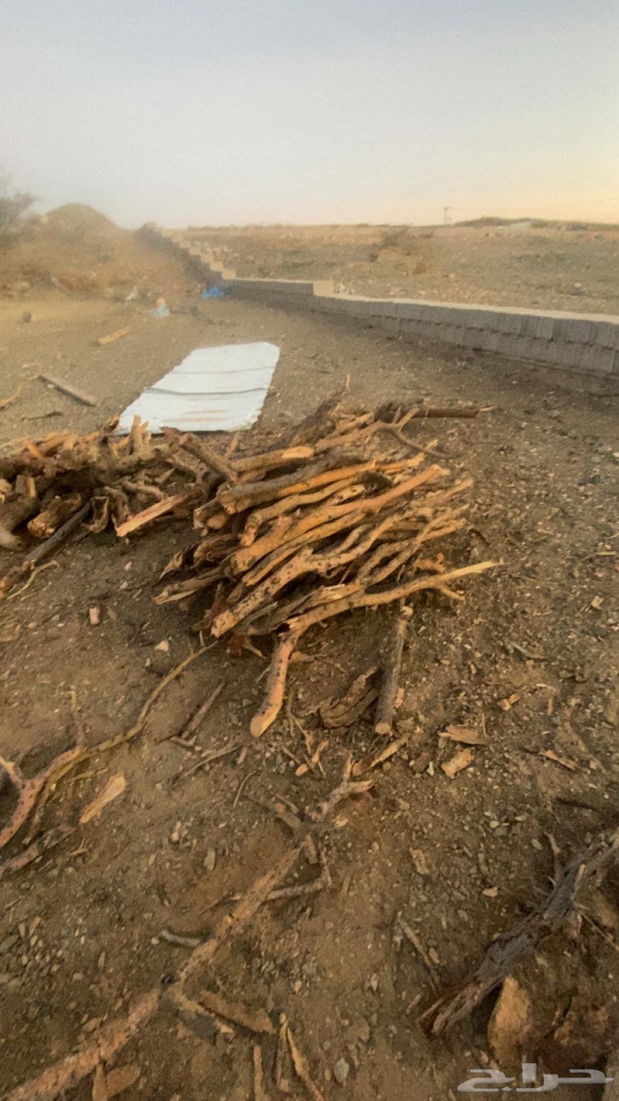 Imported Samr firewood, delivery available within Al-Taif64589614424578113