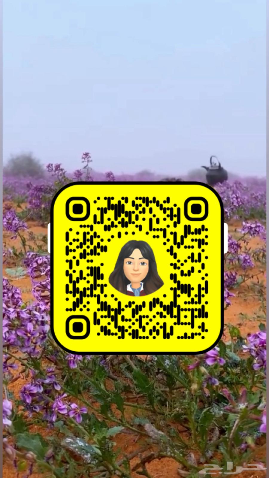 اعلان ونشر على سنابات متفاعله64656217797634110