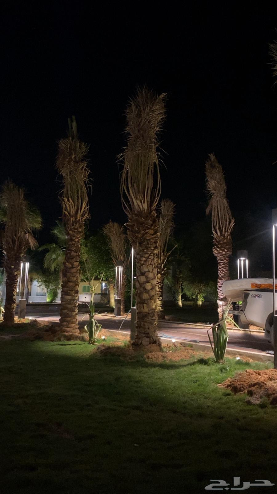 منتجع شتوي للايجار اليومي64589569499778112