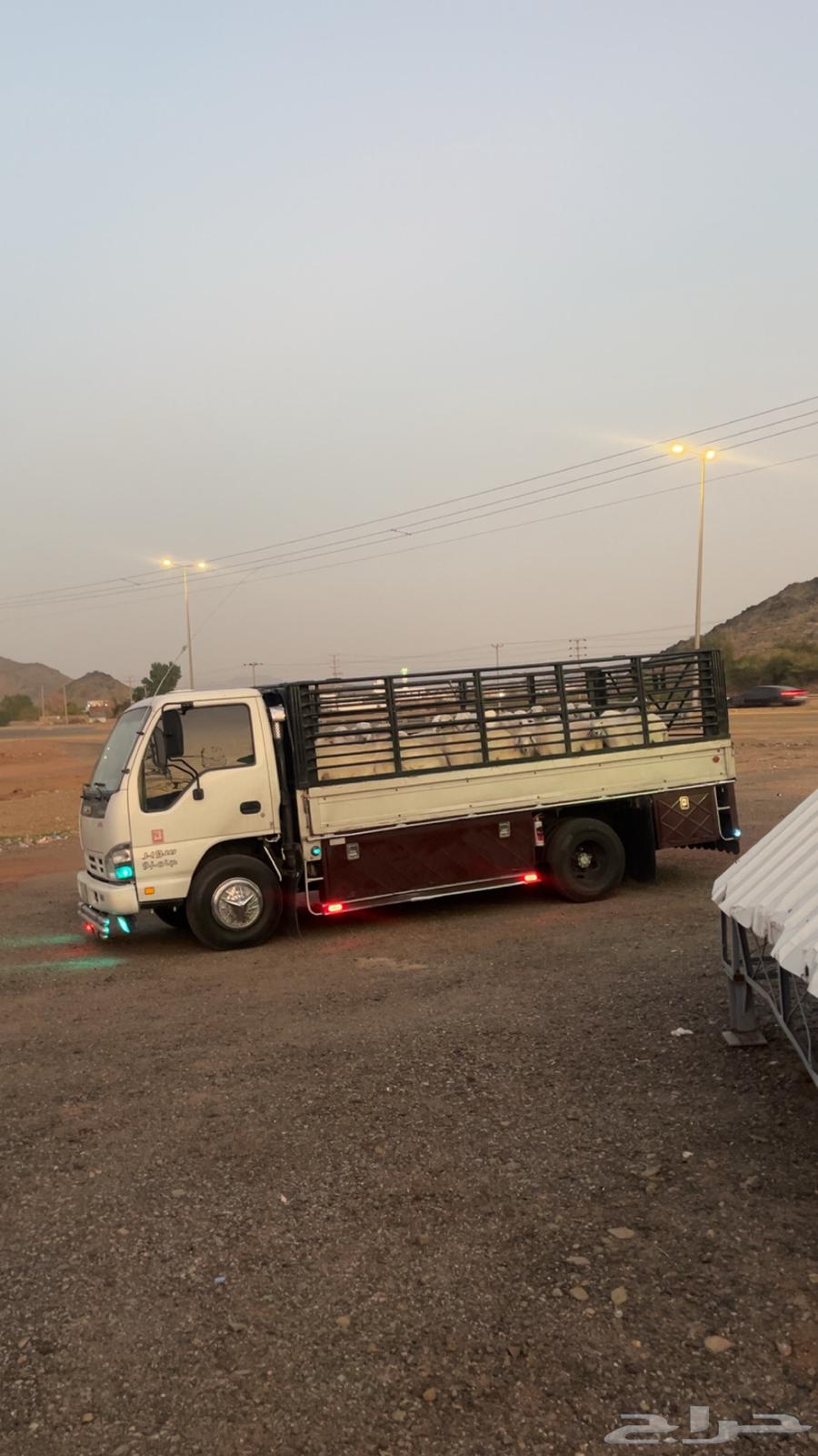 Dina Dina DNA delivery trips within and outside Taif64582724611459110