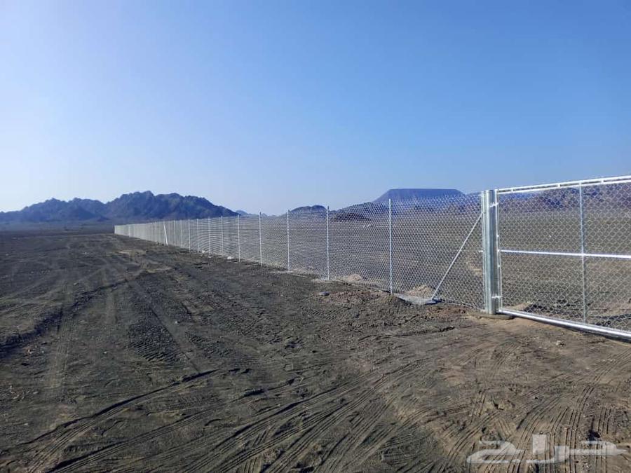 We install fences and palm trees, sports field fences, all types of fencing64582644640001113