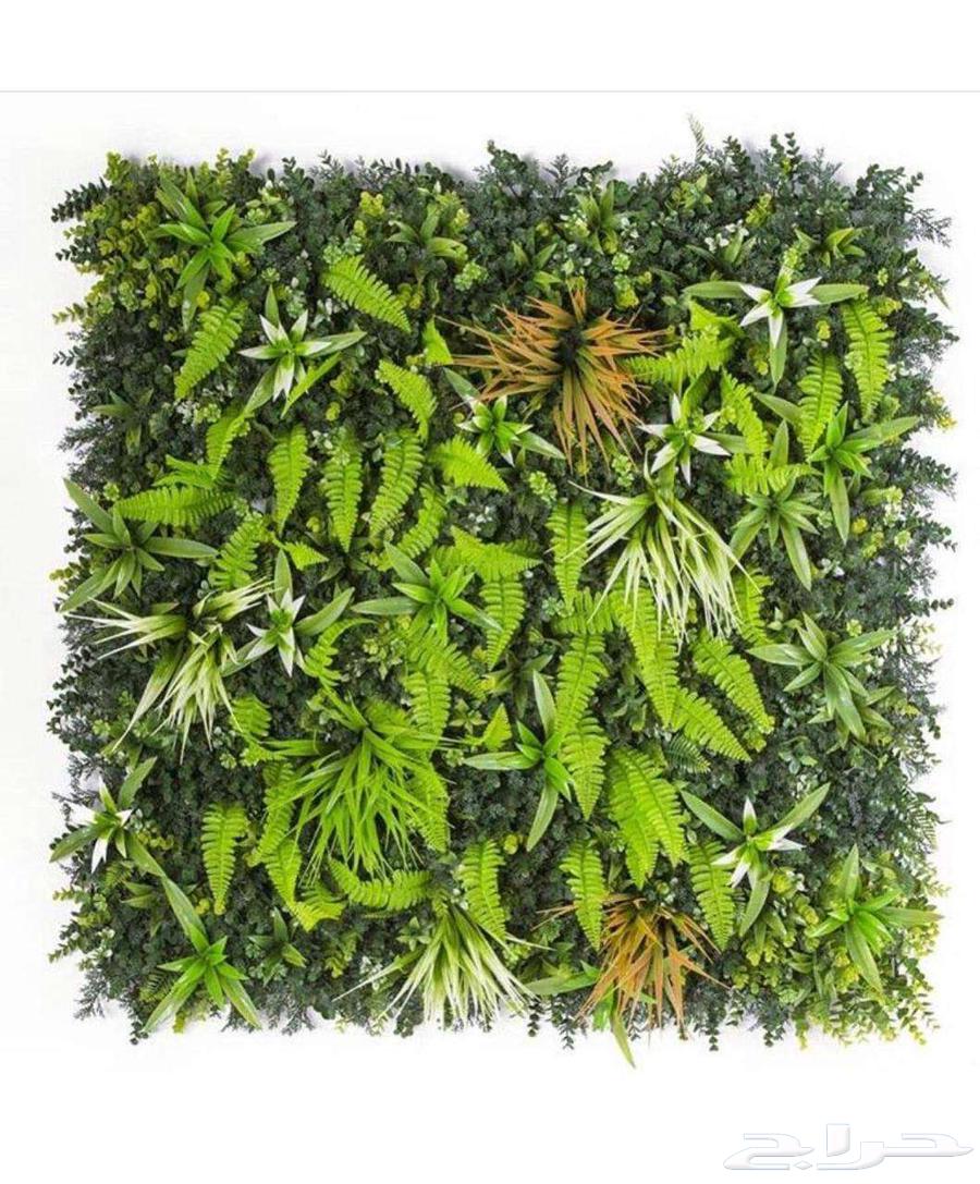 عشب جداري وبديل الخشب خارجي64582771302145110