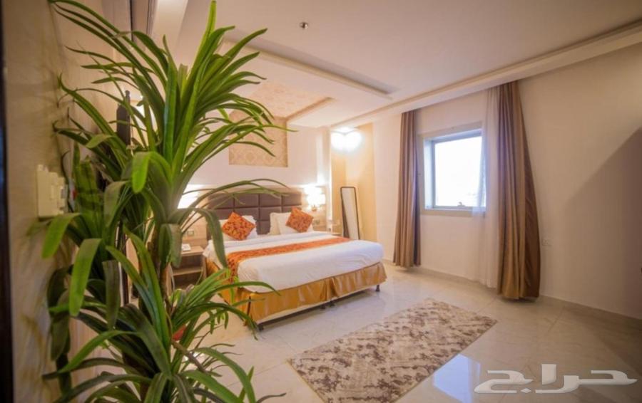 غرف للإيجار الشهري64582469085186111