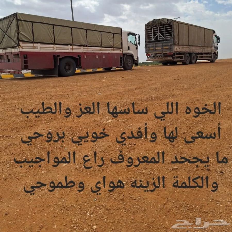 لوري مسكس سكس عشرة متر نقل داخل وخارج السعوديه64589699980929113