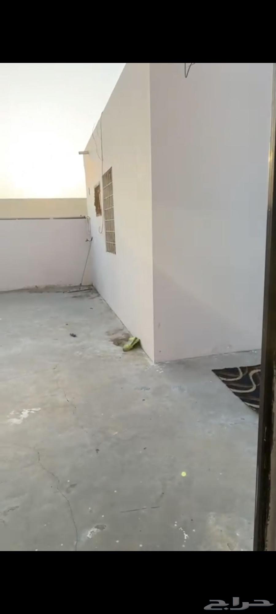 للاجار ملحق غرفة وصالة وحمام وبوفيه صغير64589612885507110