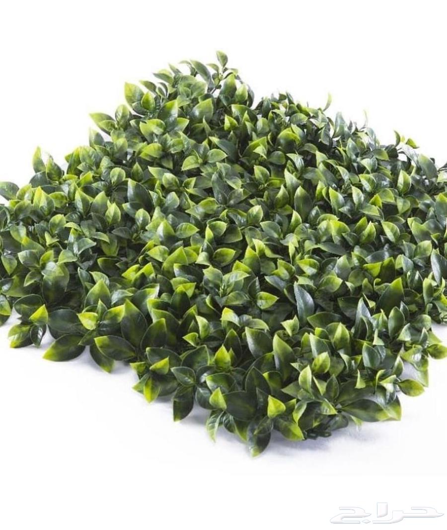 عشب جداري وبديل الخشب خارجي64582771302145111