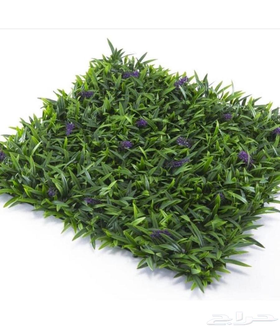 عشب جداري وبديل الخشب خارجي64582771302145114