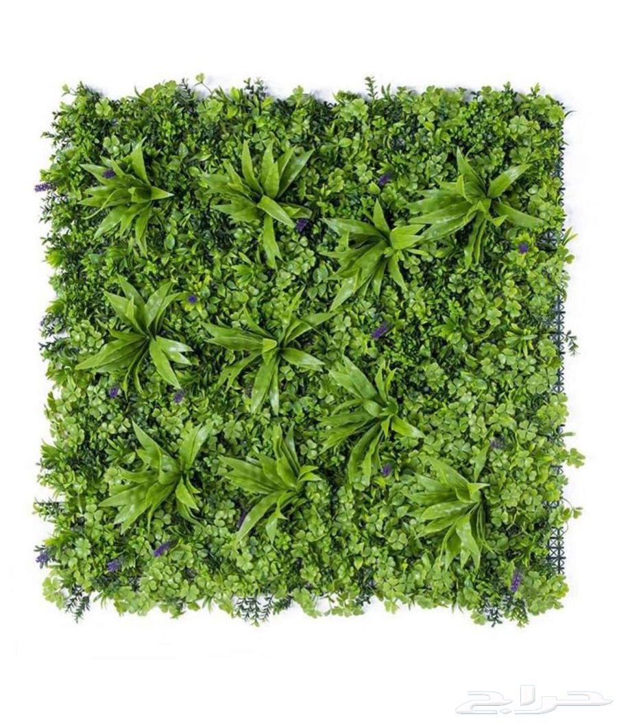 عشب جداري وبديل الخشب خارجي64582771302145113