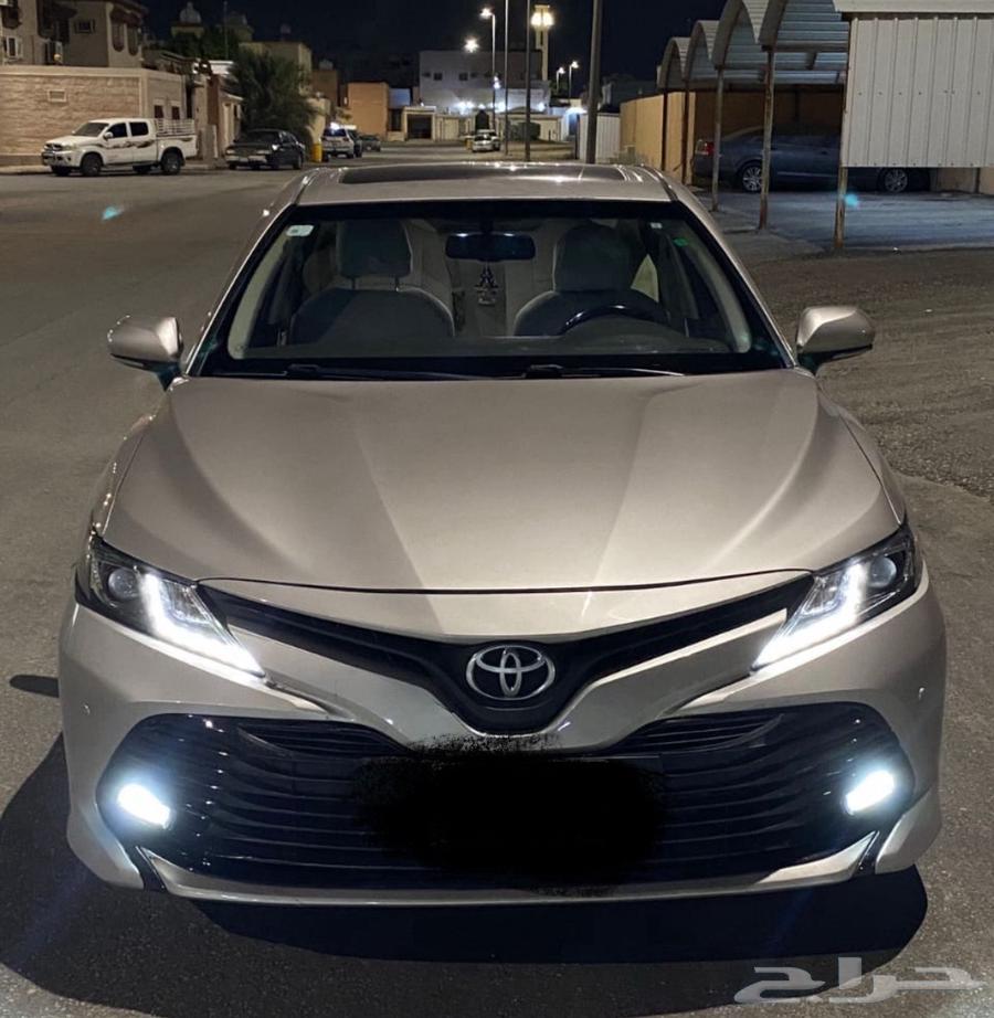 Kadad from Tabuk to the city, AlUla, and the suburbs of Tabuk64589541650305110