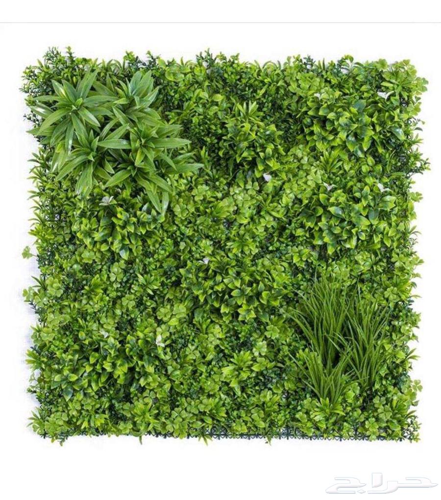 عشب جداري وبديل الخشب خارجي64582771302145112