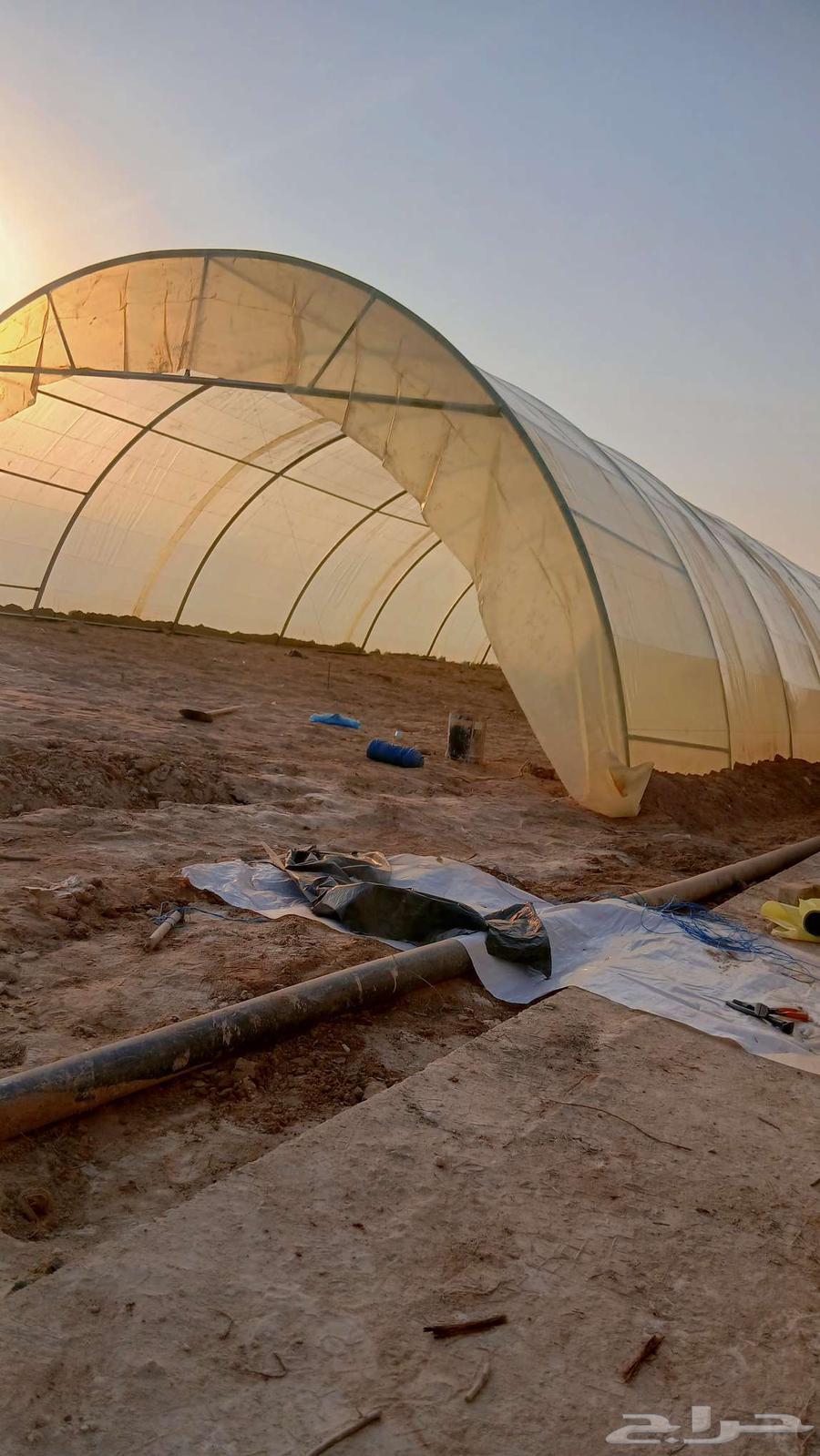 فك وتركيب بيوت محميه وعنابردواجن64582676938241113