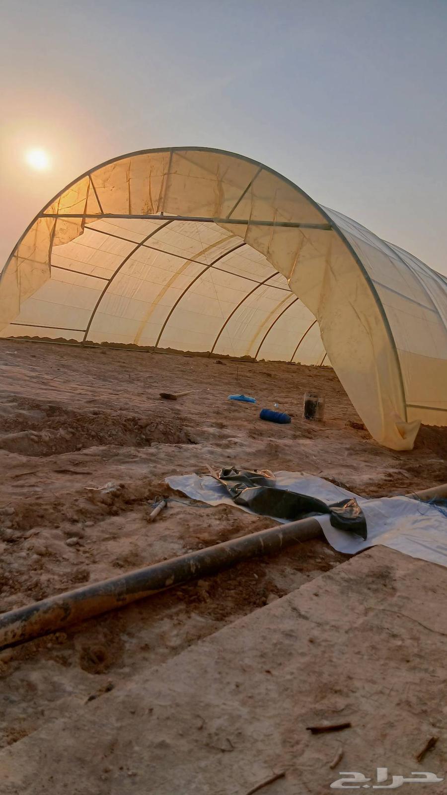 فك وتركيب بيوت محميه وعنابردواجن64582676938241112