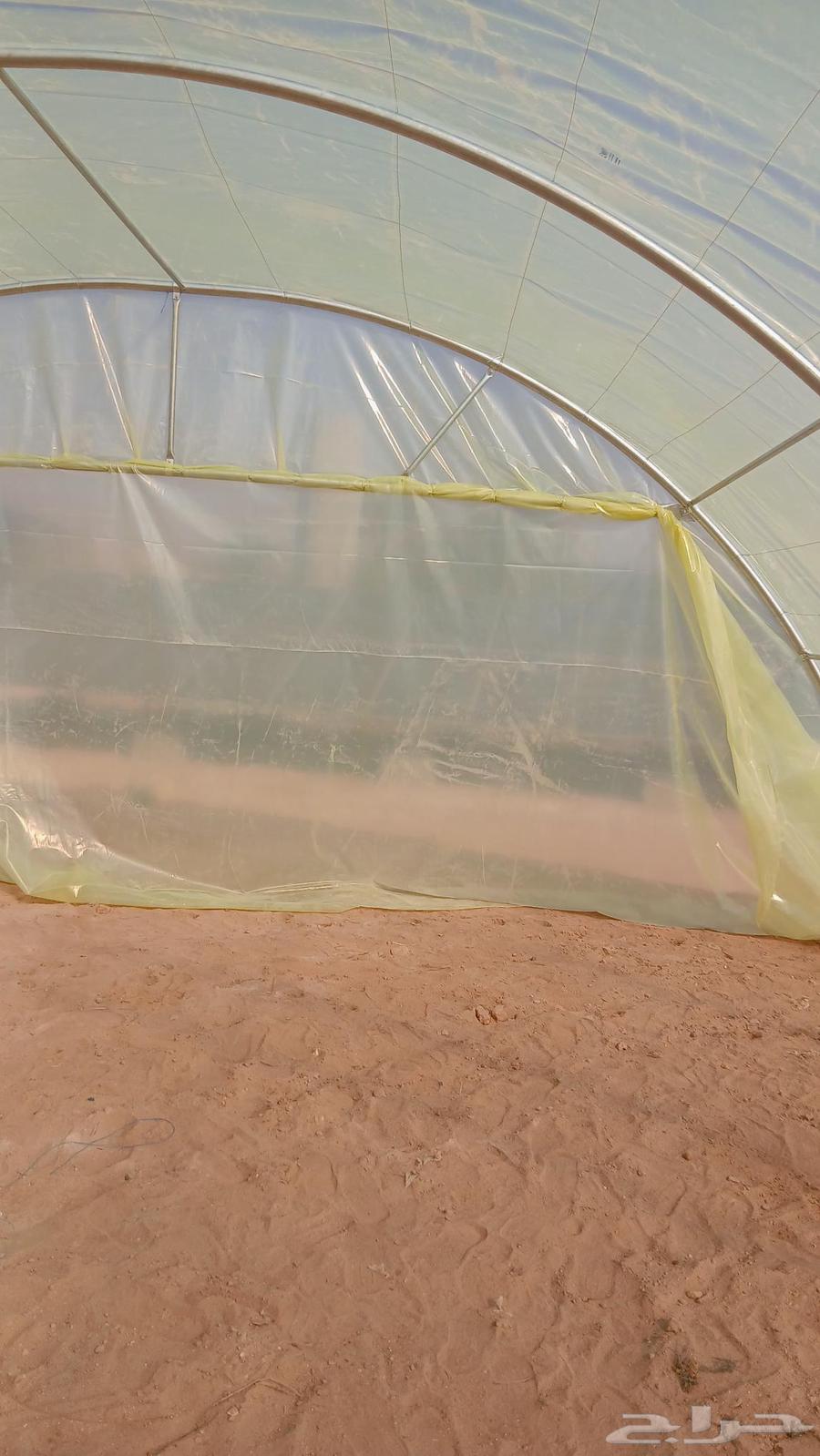 فك وتركيب بيوت محميه وعنابردواجن64582676938241111