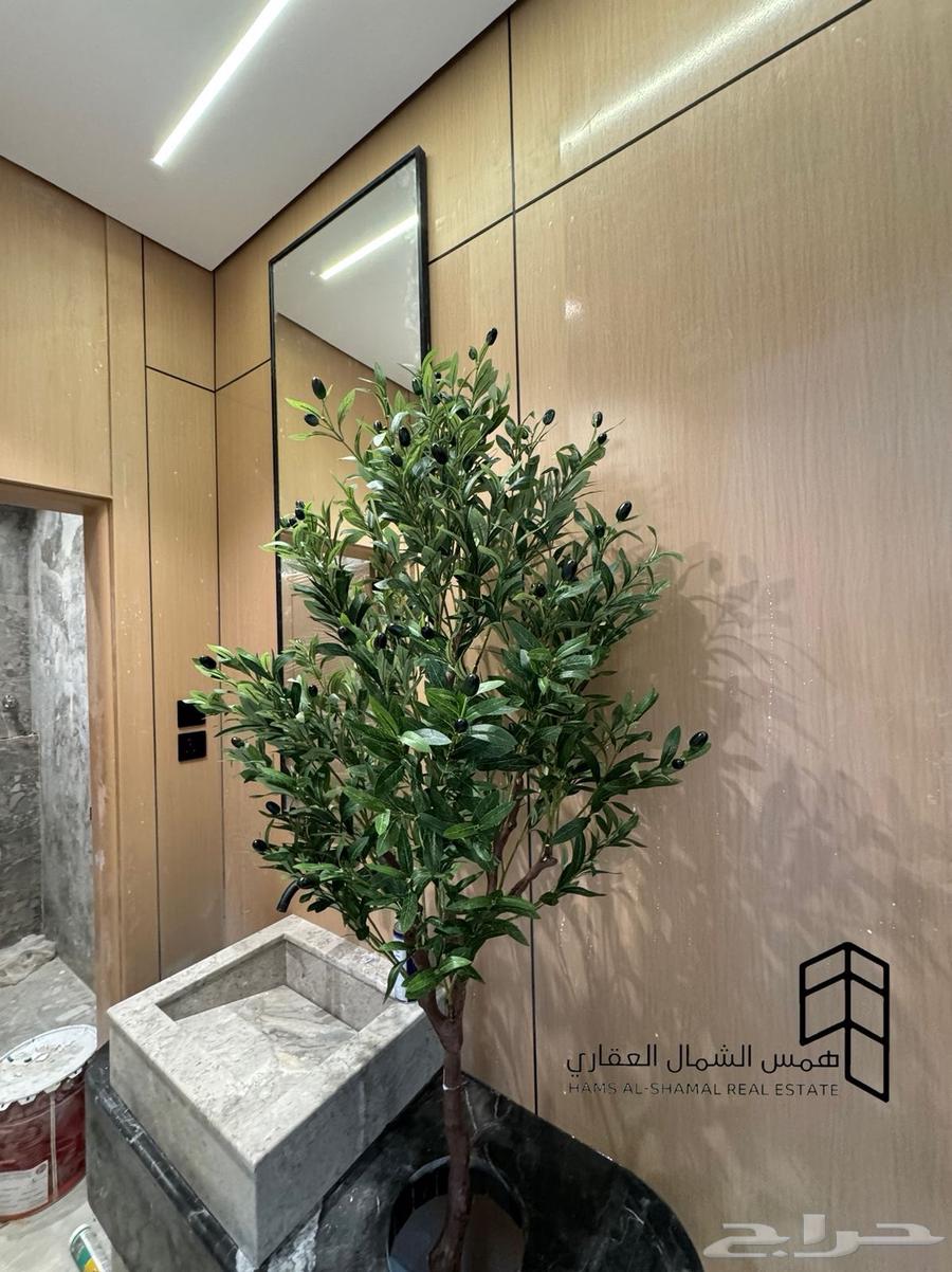 فله روف علوي حي الصفا للبيع موقع مميز64589526876161113