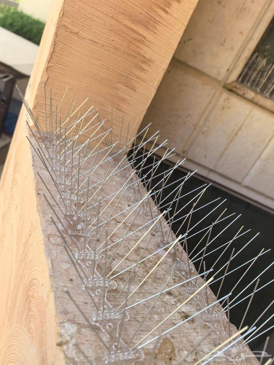 طارد حمام تركيب شبك اشواك لمنع الحمام64589584452994113