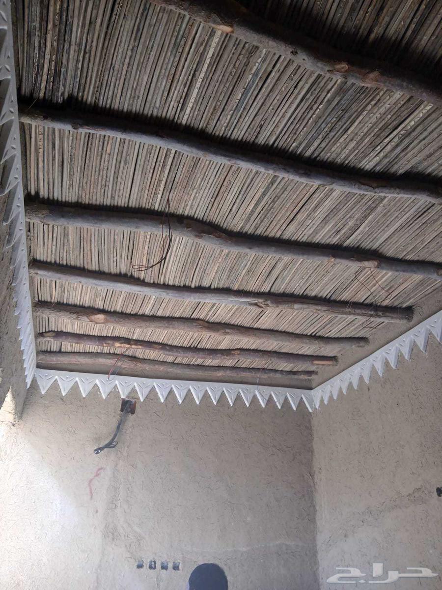 Heritage: Beauty and Authenticity, Execution of All Heritage and Restoration Works64589686000129110