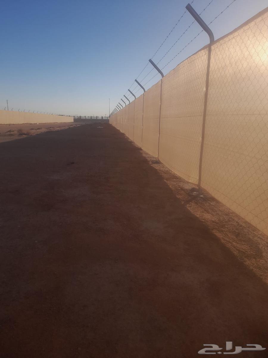 Shade Nets, Palm Trees, and Umbrellas64589642780418112