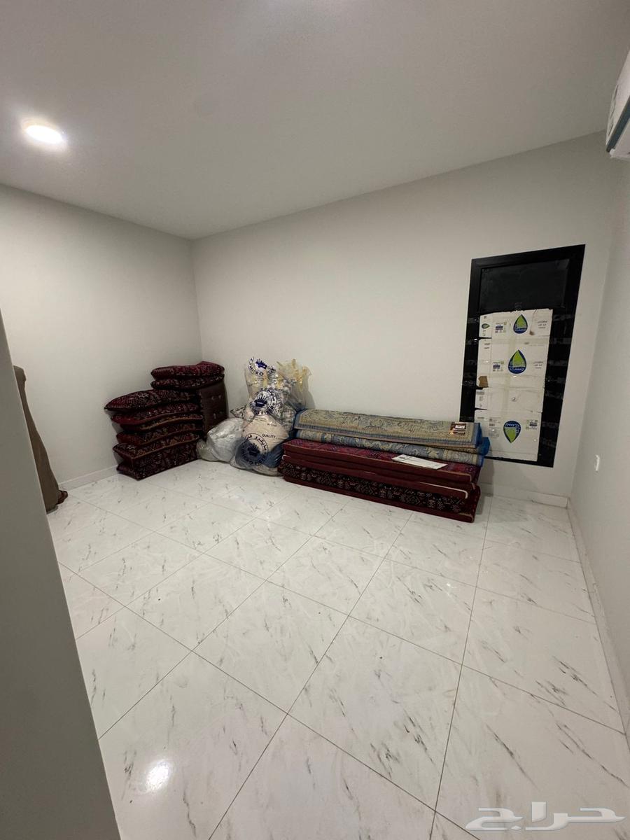 شقه جديده للإيجار64589613098497114