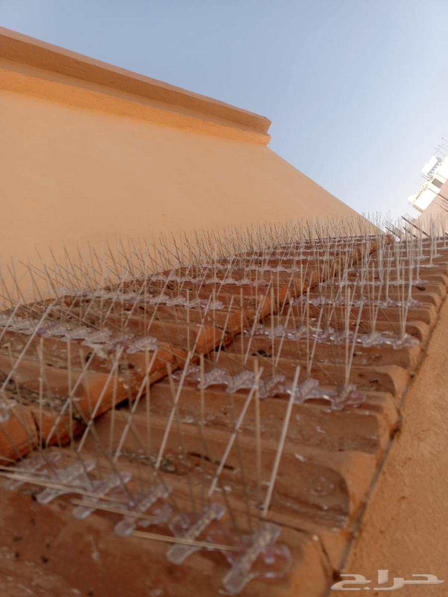 Pigeon repellent, window installation, AC cover installation, socket installation, mobile number64582770557058111