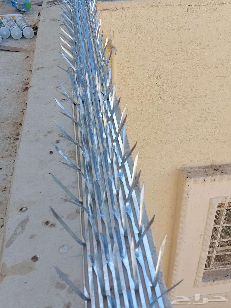 طارد حمام تركيب شبك اشواك لمنع الحمام64589584452994110